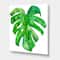 Designart - Tropical Leaf Of Monstera I - Farmhouse Canvas Wall Art Print